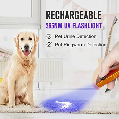 OLIGHT Arkfeld UV Light 1100 Lumens - Black Lights for Camping Cleaning