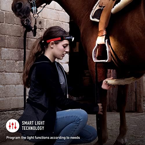 600 Lumens Power Every Day
