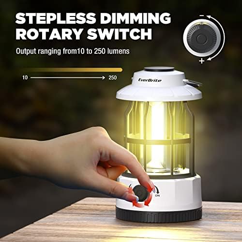 OV8P-Lantern-Headlamp Set EverBrite