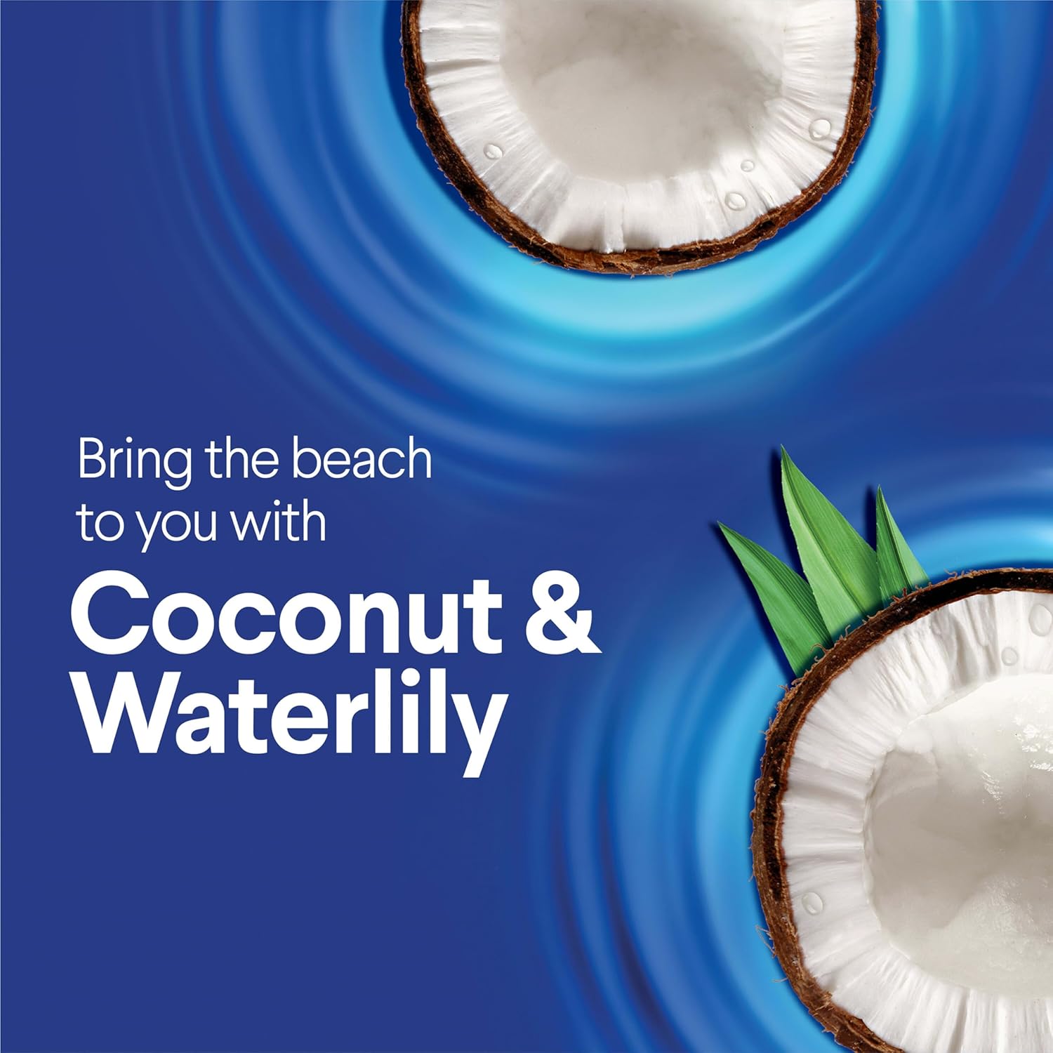 Coconut Waterlily Scent cleaning pad
